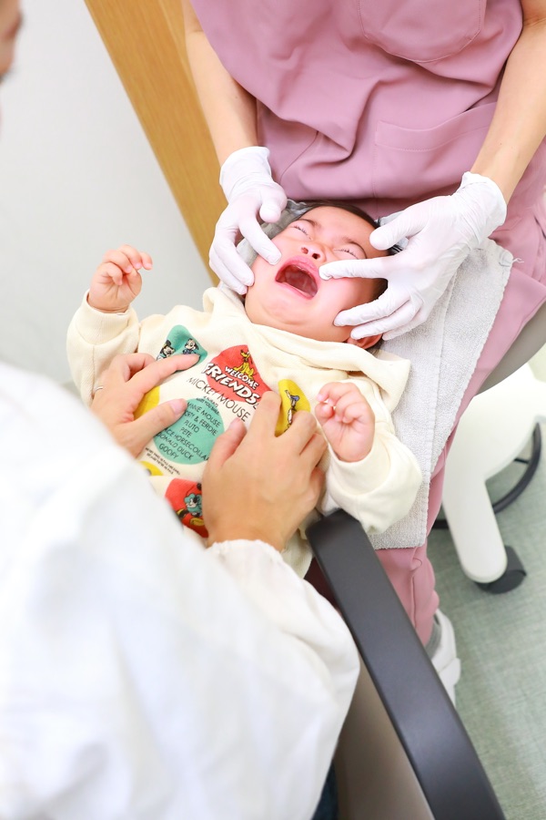 スタッフの様子